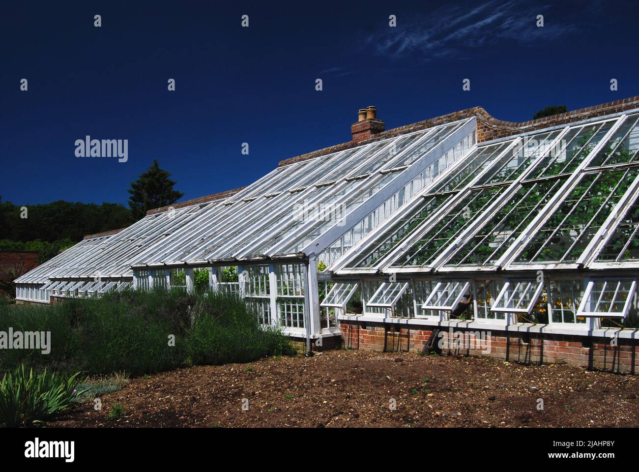 Sloping greenhouse roof hi-res stock photography and images - Alamy