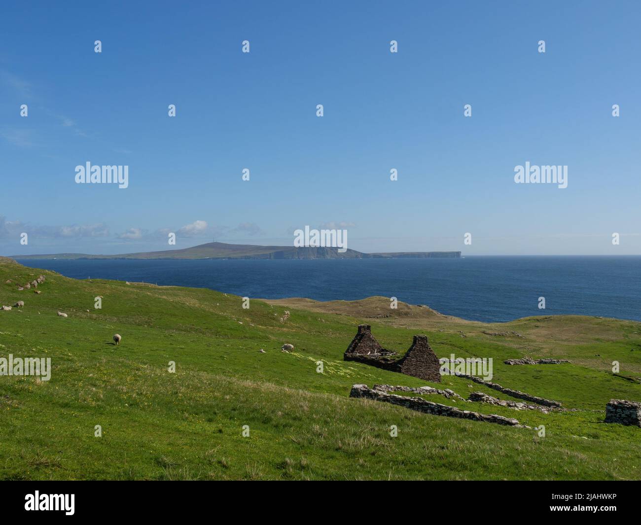 the shetland islands in scotland Stock Photo Alamy