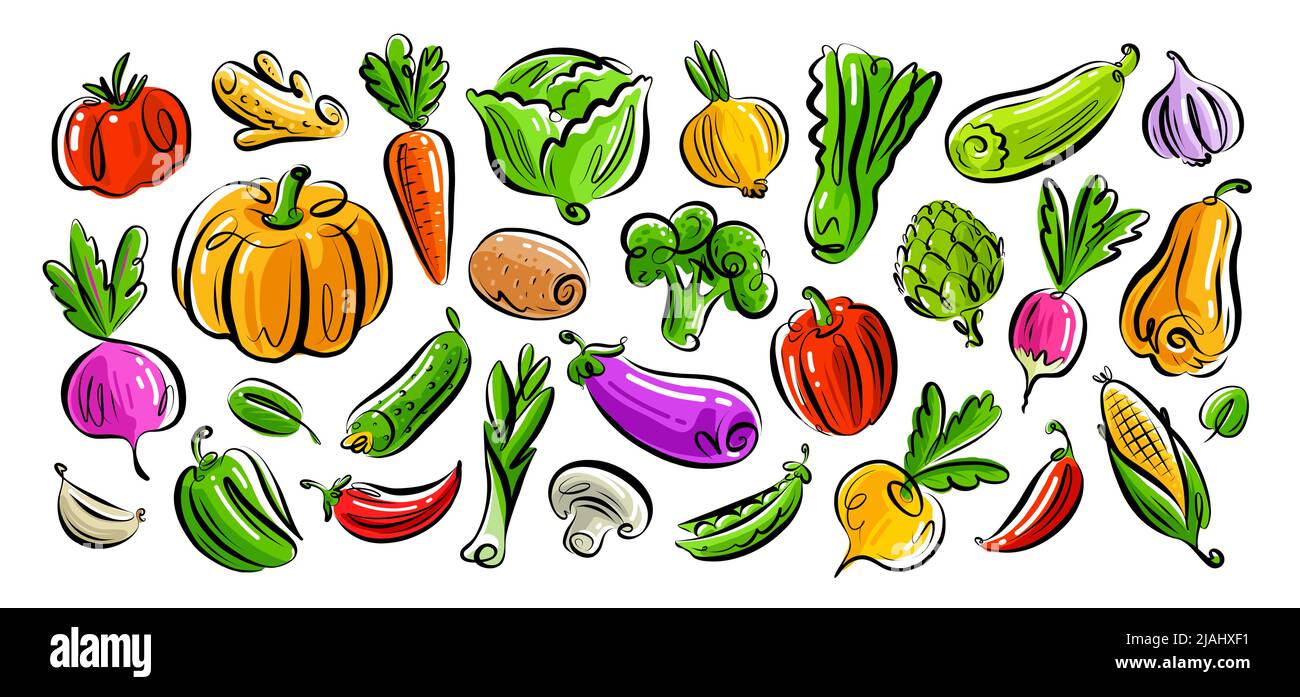Vegetarian organic healthy food set. Farm vegetables collection. Vegan
