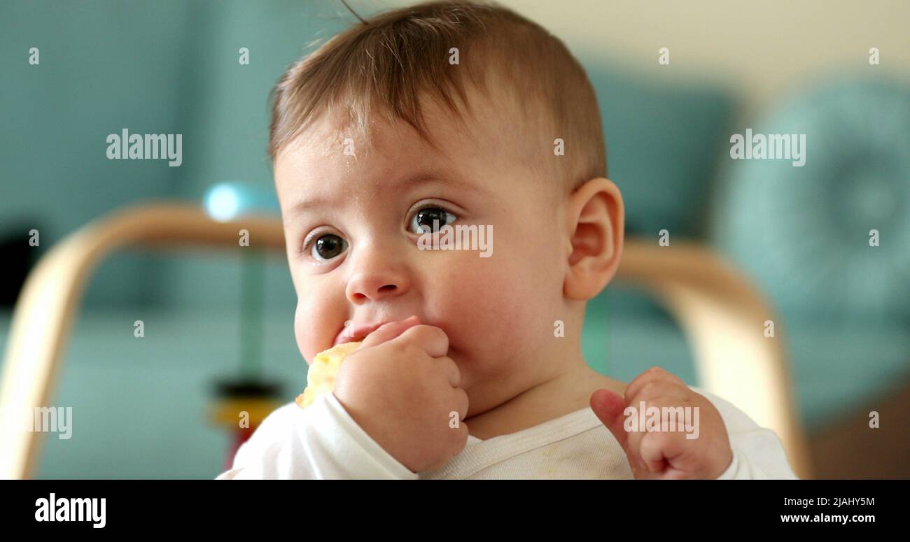 Baby face eating healthy snack fruit, infant child eats piece of apple fruit Stock Photo Alamy
