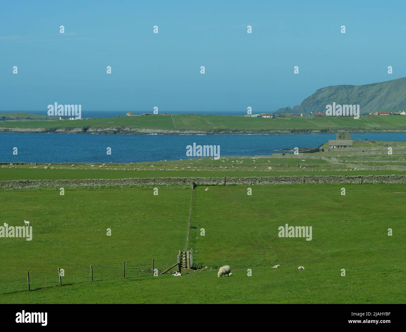 the shetland islands in scotland Stock Photo Alamy