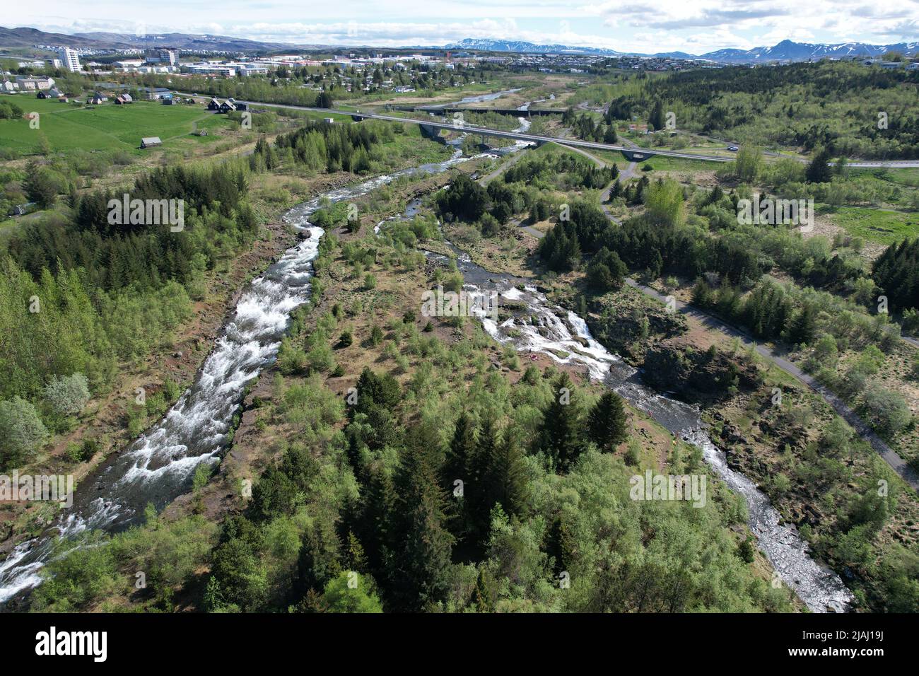 Forest in Reykjavik, Iceland: Ellida River Valley (Ellidaardalur ...
