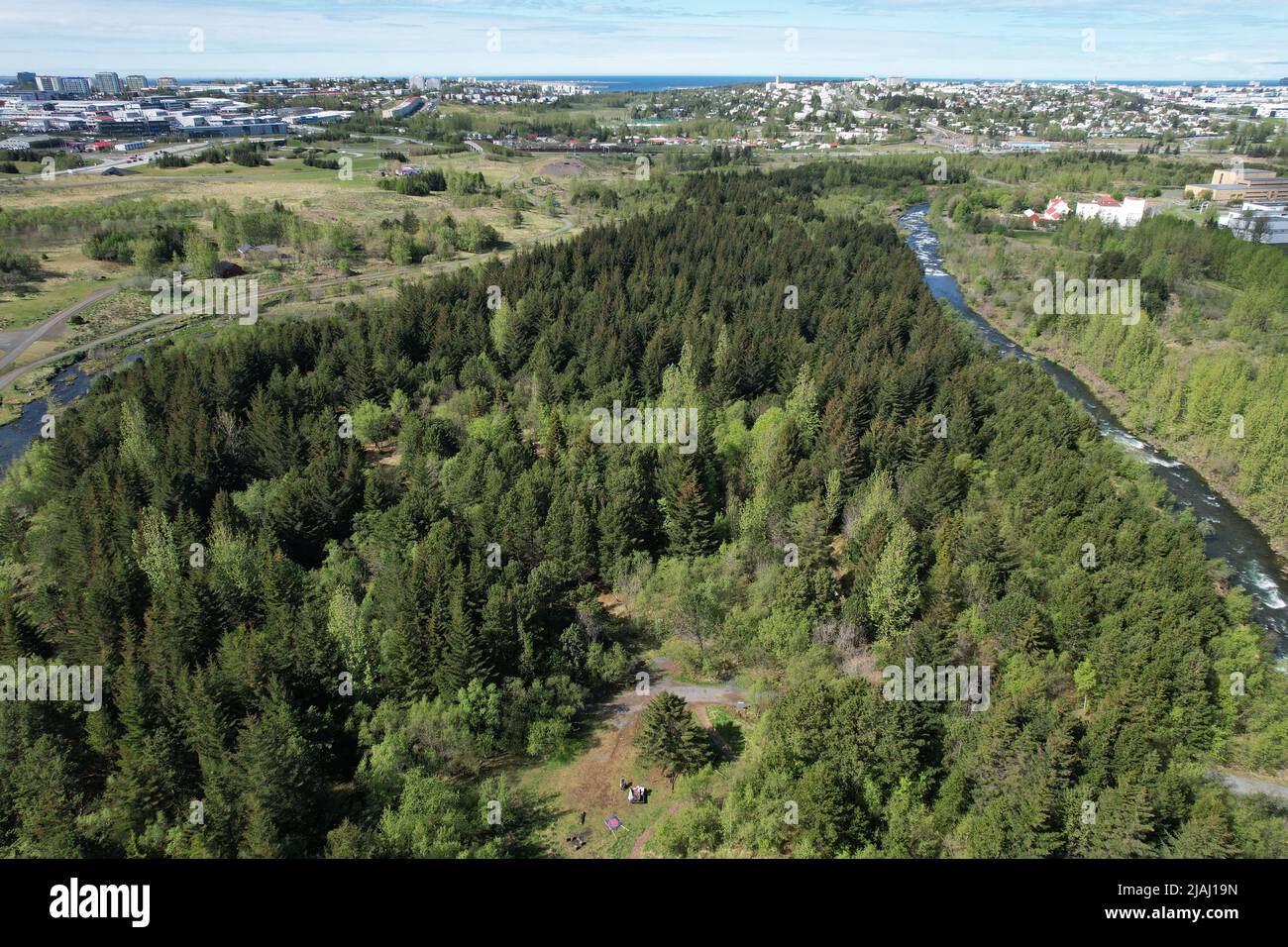 Forest in Reykjavik, Iceland: Ellida River Valley (Ellidaardalur ...