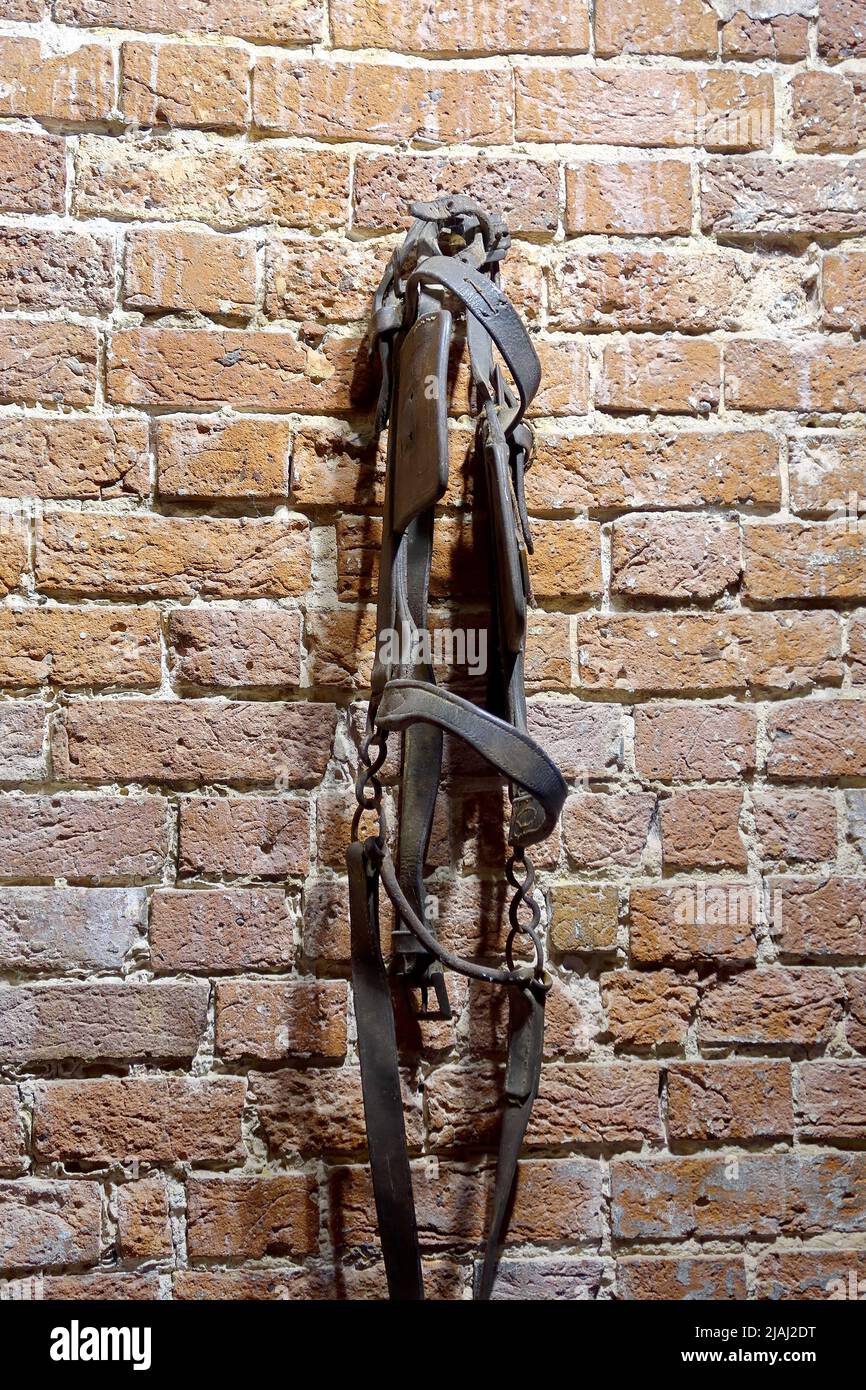 An old Horses Bridle hanging on a brick wall Stock Photo Alamy