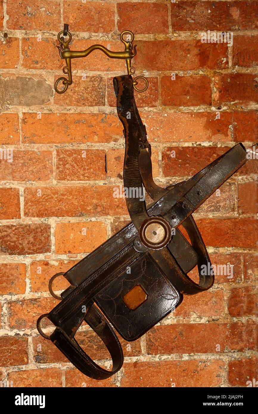 An old leather Harness hanging from a wall Stock Photo