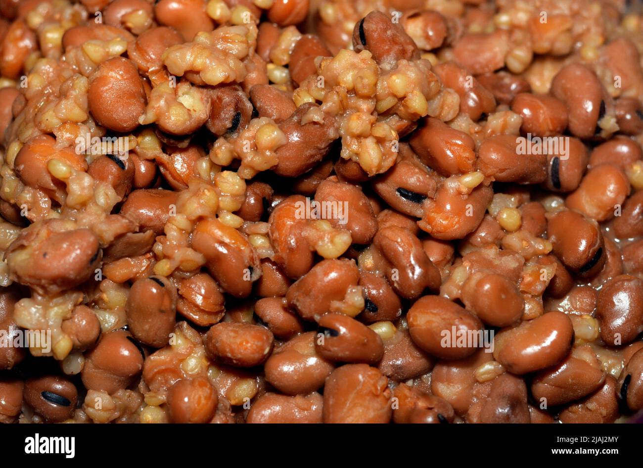 A close up of Egyptian fava beans which is the main dish and sandwich