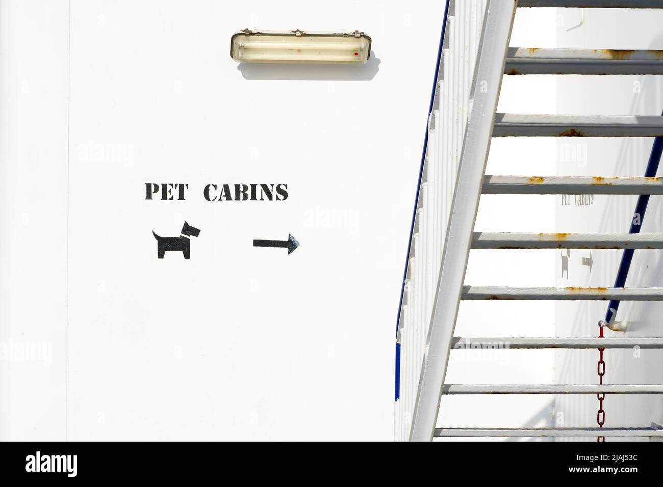 pet in cabin weight limit pet in cabin weight limit