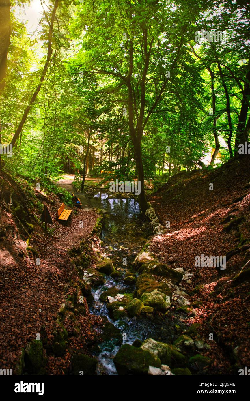 Small stream through forest hi-res stock photography and images - Alamy