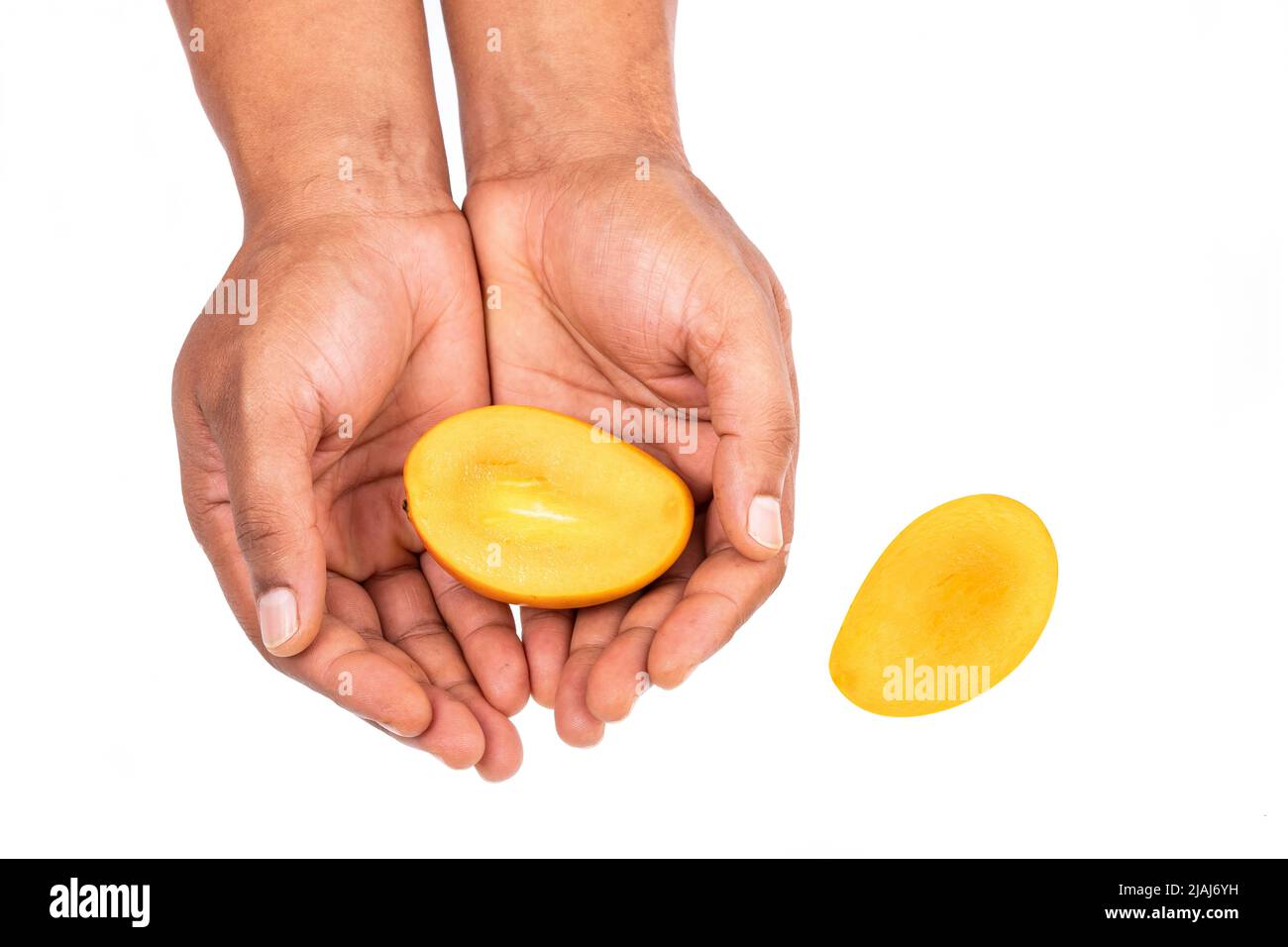 Mangifera Indica - Ripe Sugar Mango Tasty Tropical Fruit; In Male Hand On White Background Stock Photo