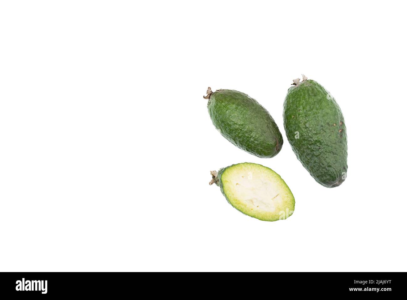 Edible Botanical Species; Guava Feijoa Tropical Fruit - Acca Sellowiana Stock Photo
