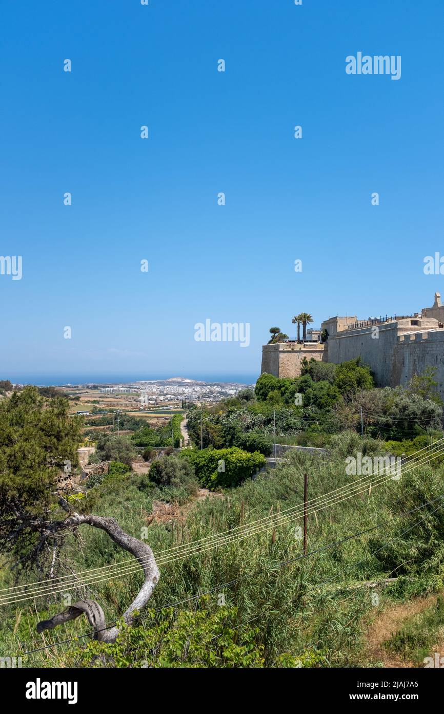 Mdina and landscape, Malta Stock Photo