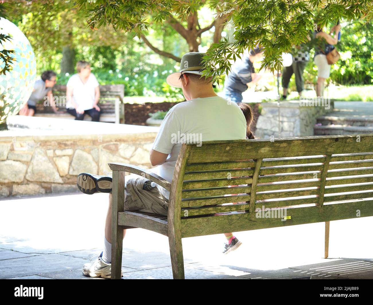 Middle aged father sitting on bench with pre-teen daughter rear view Stock Photo