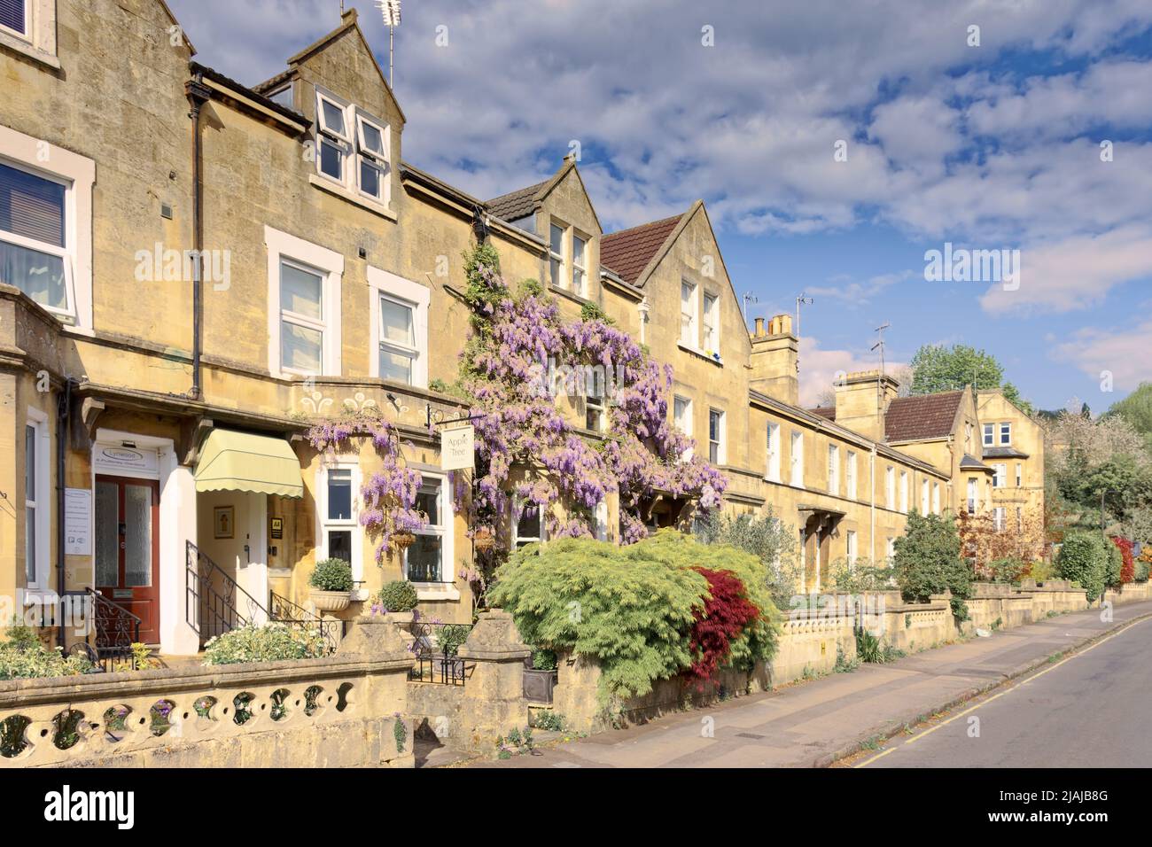 Apple Tree guest house hotel Bath wisteria Stock Photo Alamy