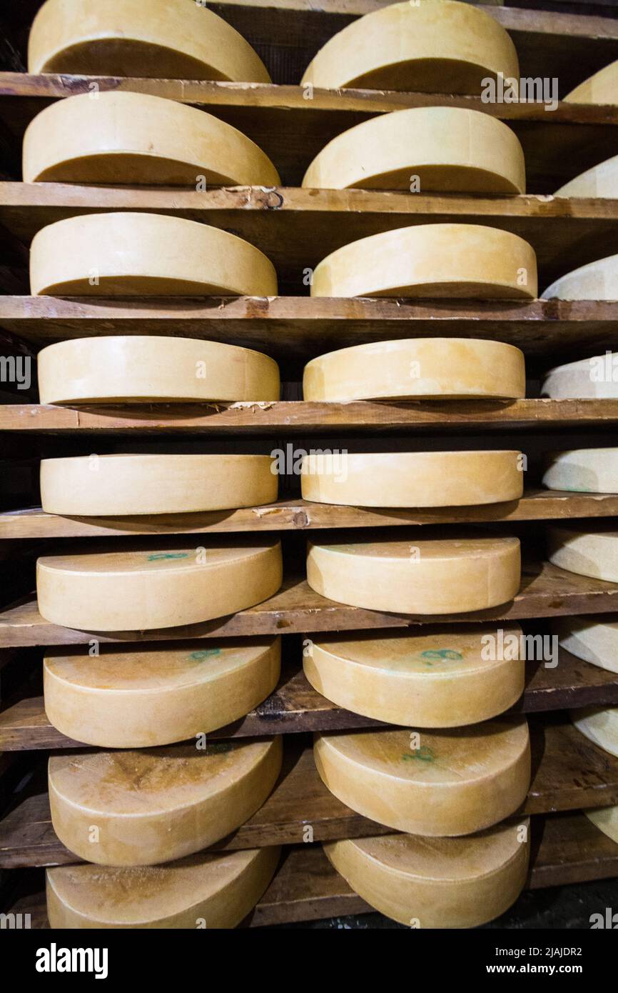 Giant cheese rounds sit on shelves in patterns - Bathpalathang Airport, Jakar, Bumthang, Bhutan (BT) Stock Photo