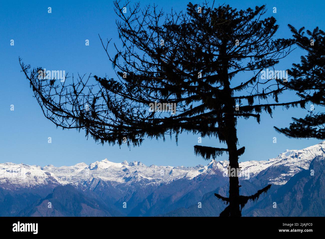 Distant Himalayan Peaks are seen from the roadside in rural Bhutan Stock Photo
