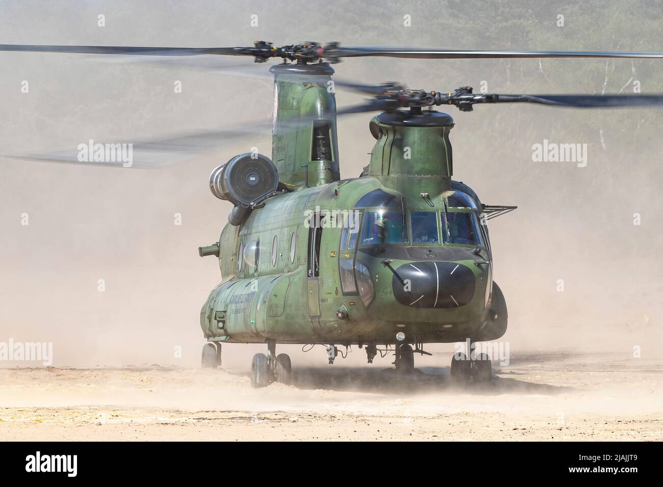 A Royal Netherlands Air Force CH-47D makes a dusty landing during a training flight. Stock Photo