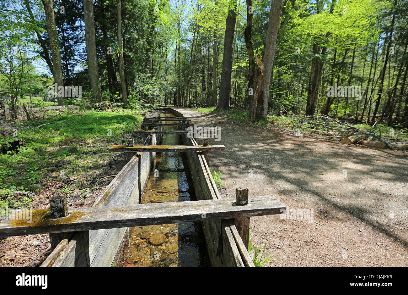 Connecting channel and the trail - Great Smoky Mountains National Park, Tennessee Stock Photo