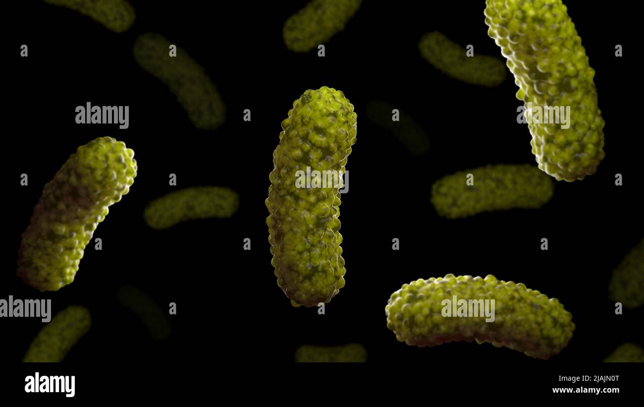 Conceptual biomedical illustration of the bacteria Bordetella pertussis, on black background. Stock Photo