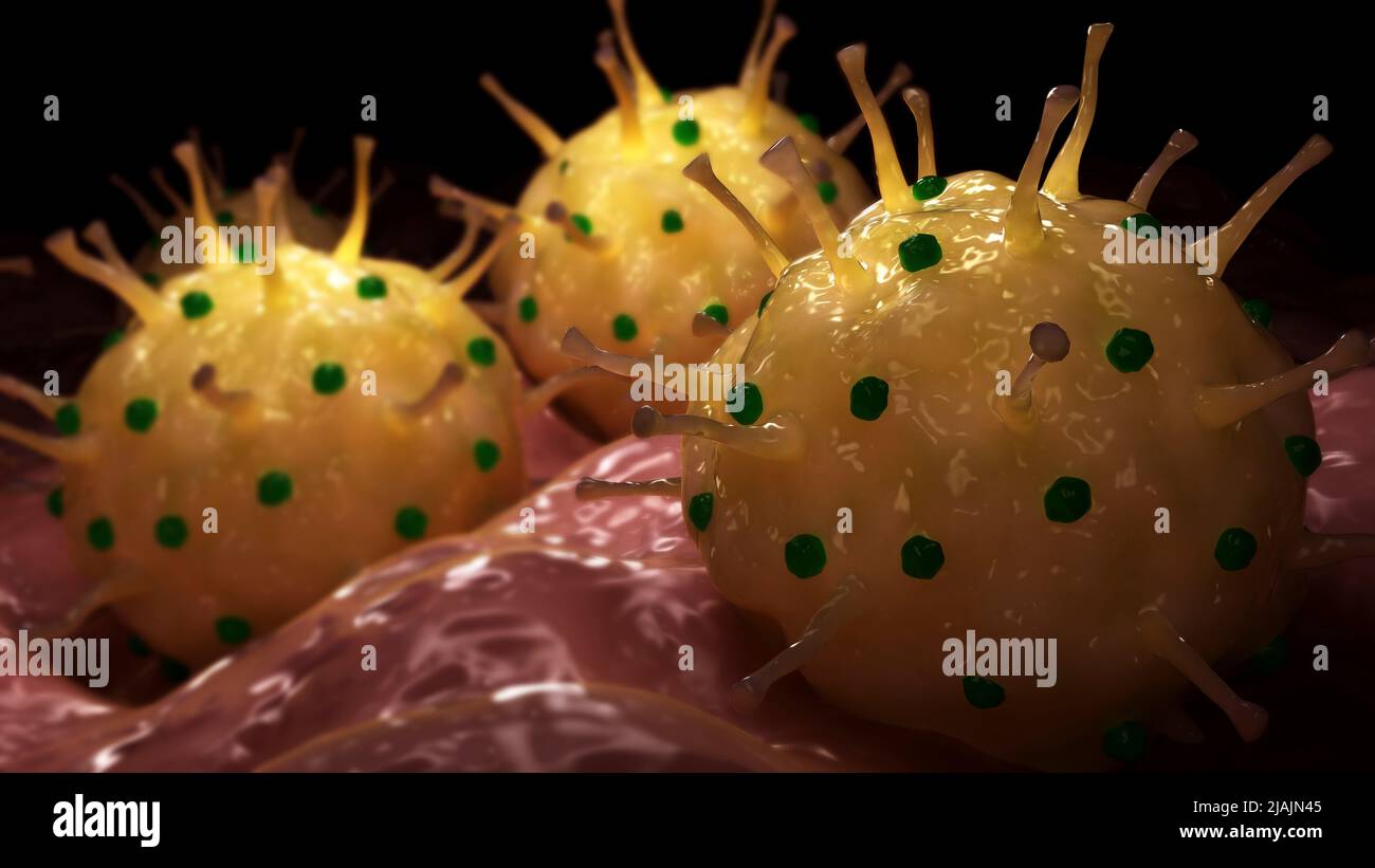 Conceptual biomedical illustration of genital herpes on surface. Stock Photo