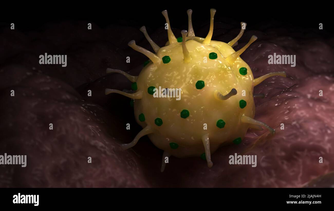Conceptual biomedical illustration of genital herpes on surface Stock