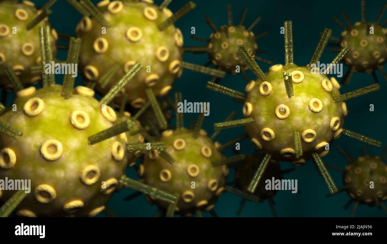 Conceptual biomedical illustration of the herpes simplex virus. Stock Photo