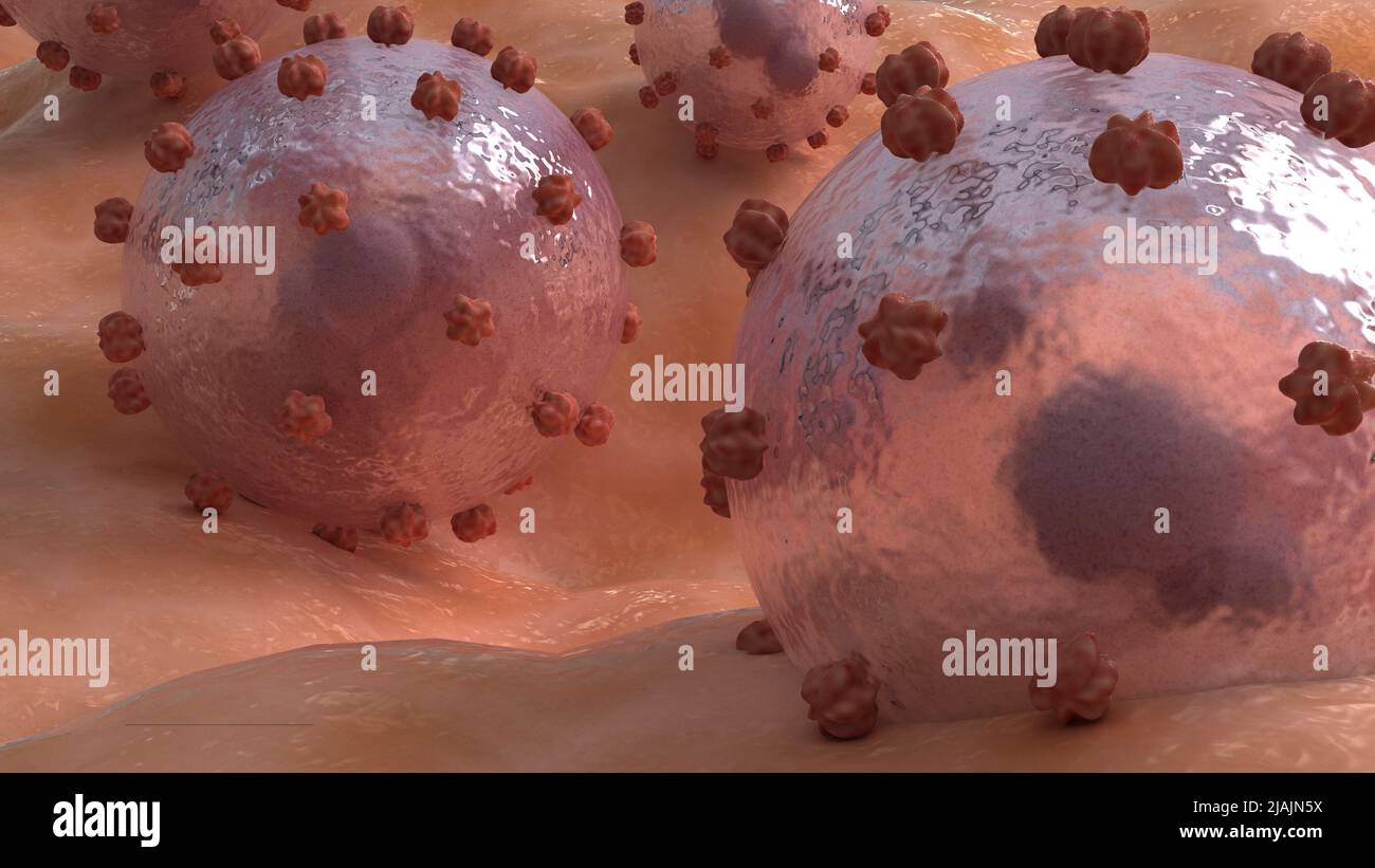 Conceptual biomedical illustration of Lassa virus on surface. Stock Photo