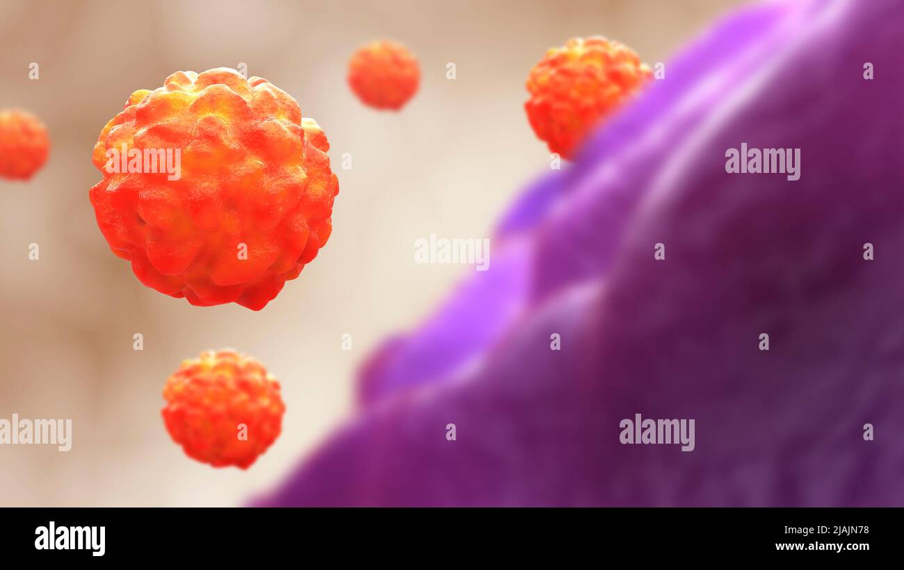 Conceptual biomedical illustration of the monkeypox virus. Stock Photo