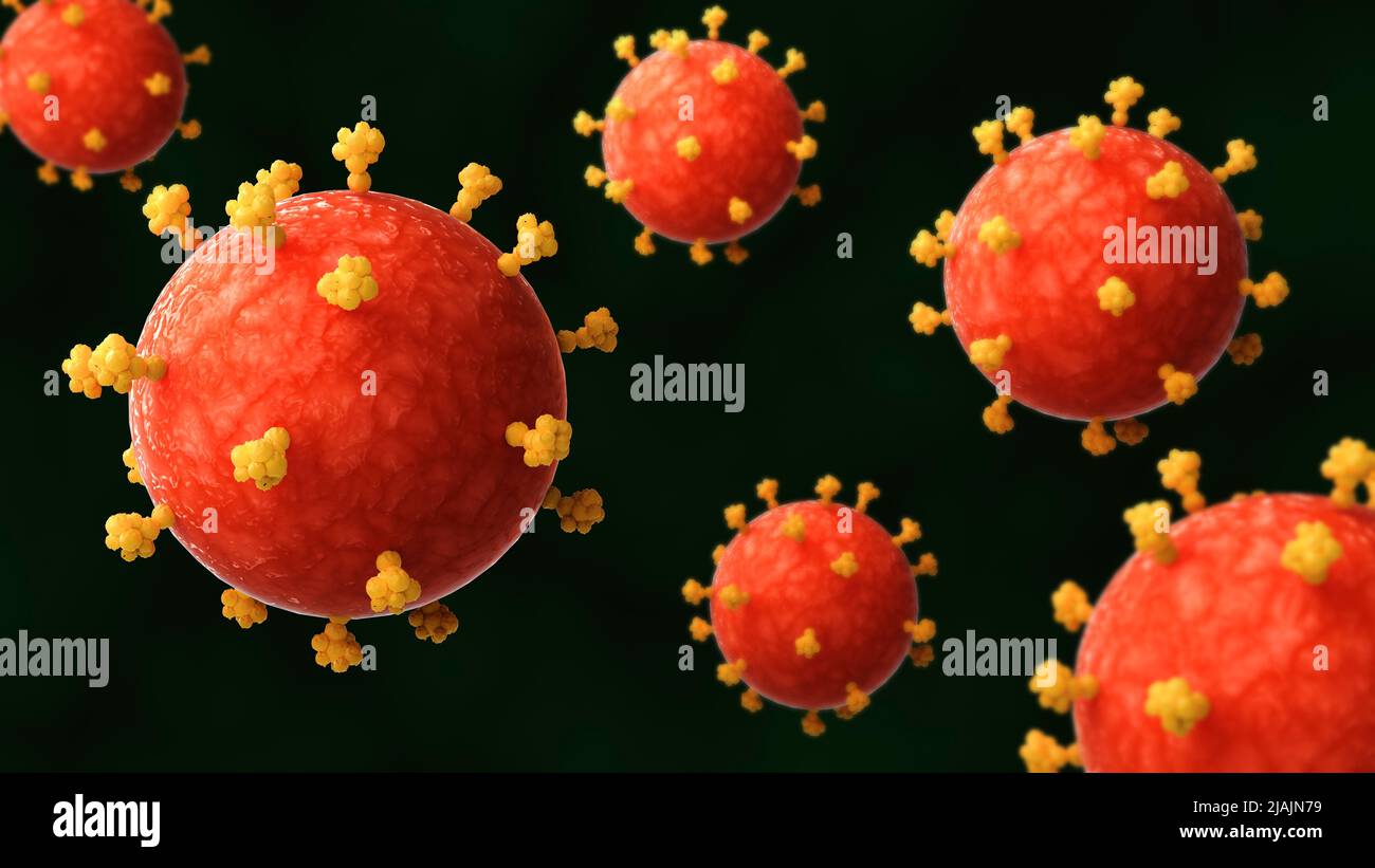 Conceptual biomedical illustration of the monkeypox virus. Stock Photo