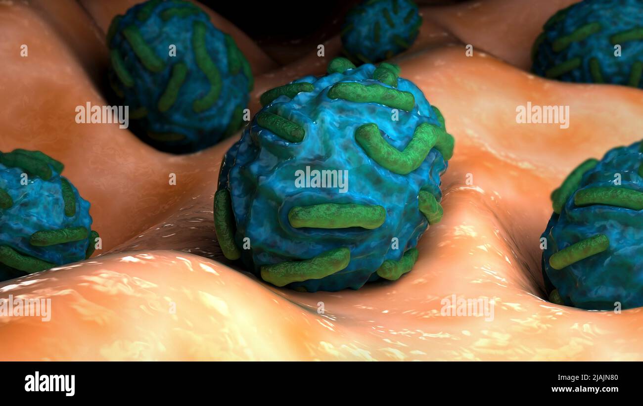 Conceptual biomedical illustration of the orf virus. Stock Photo