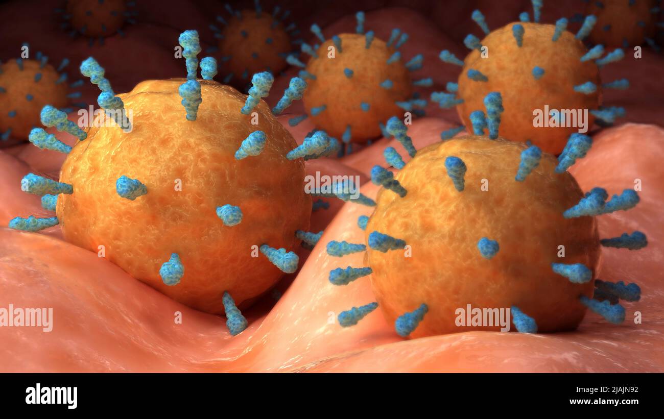 Conceptual biomedical illustration of rubeola measles virus on surface. Stock Photo