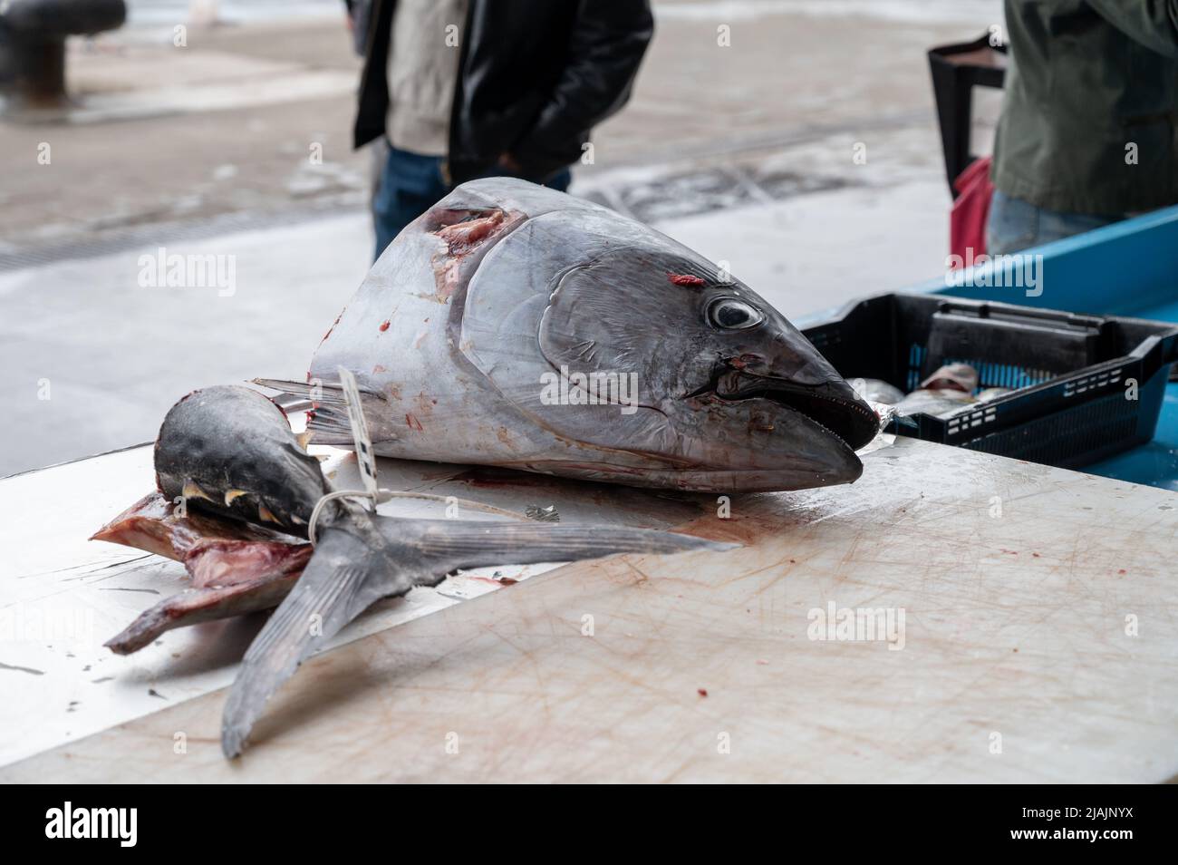 Catch of the day for sale on daily fish market in old port of Marseille