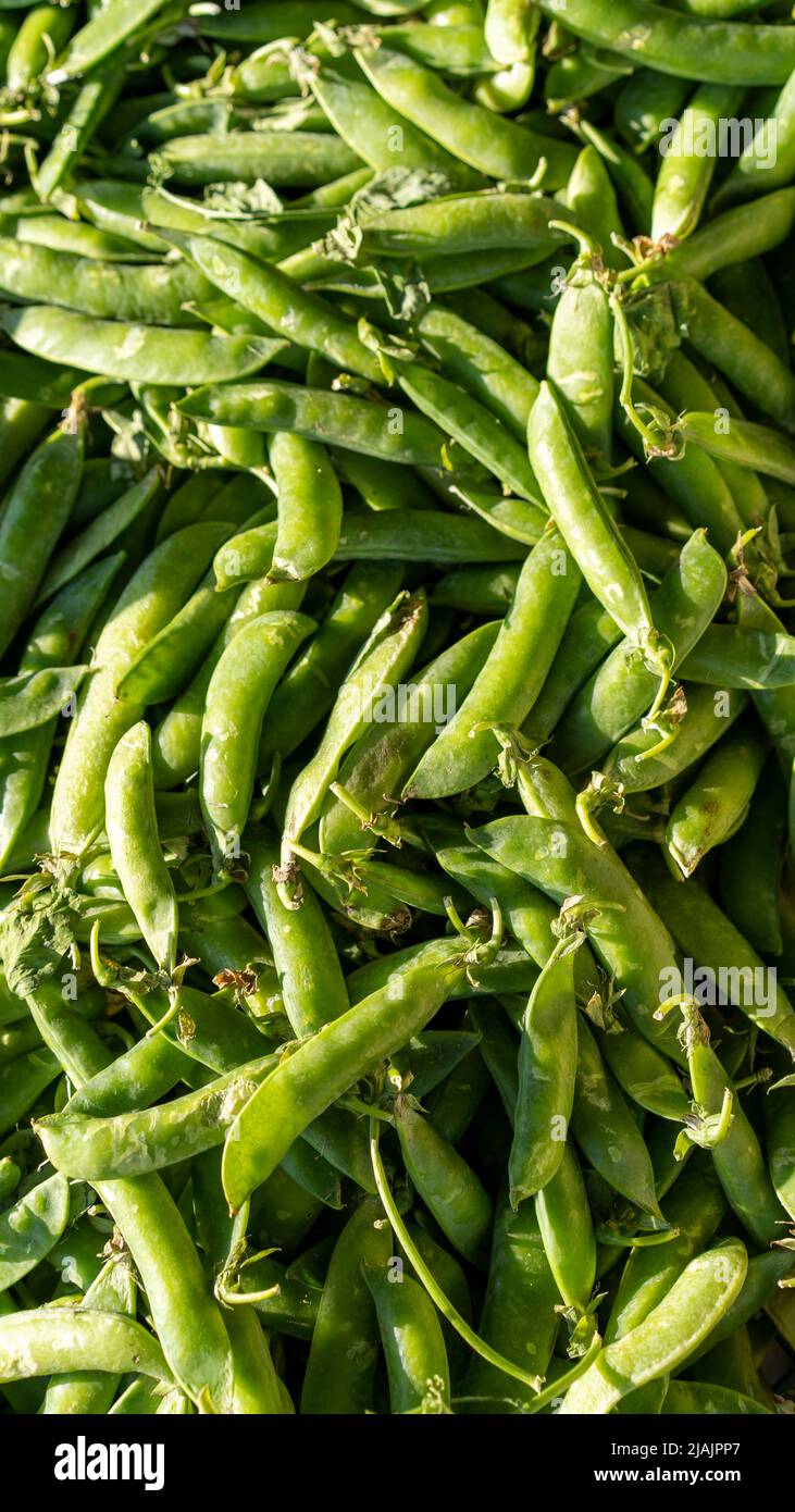Natural background with green pea pods Stock Photo - Alamy