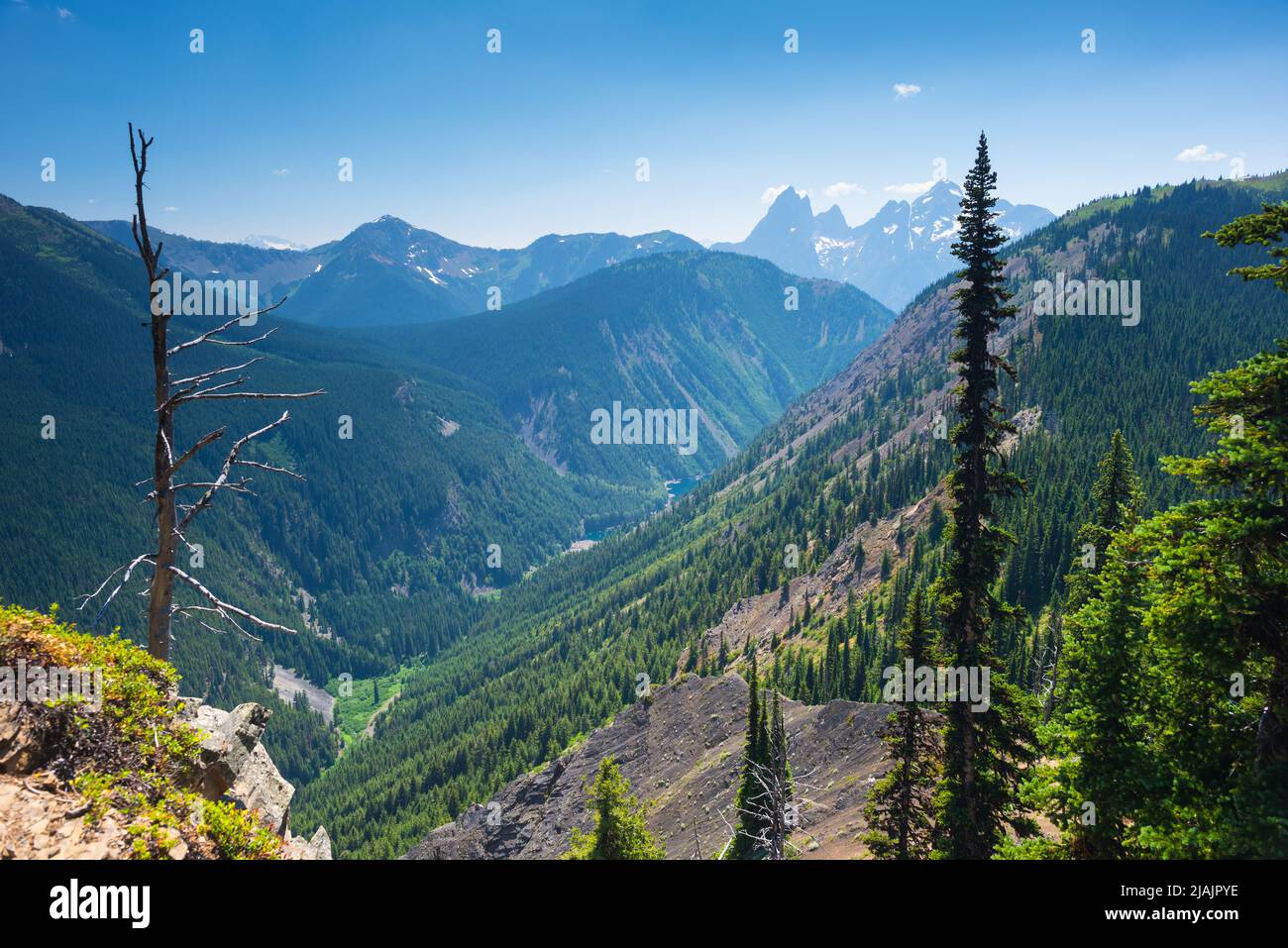 Looking towards Hozomeen Mountain from the Skyline Trail in E.C. Manning Provincial Park, British Columbia, Canada Stock Photo
