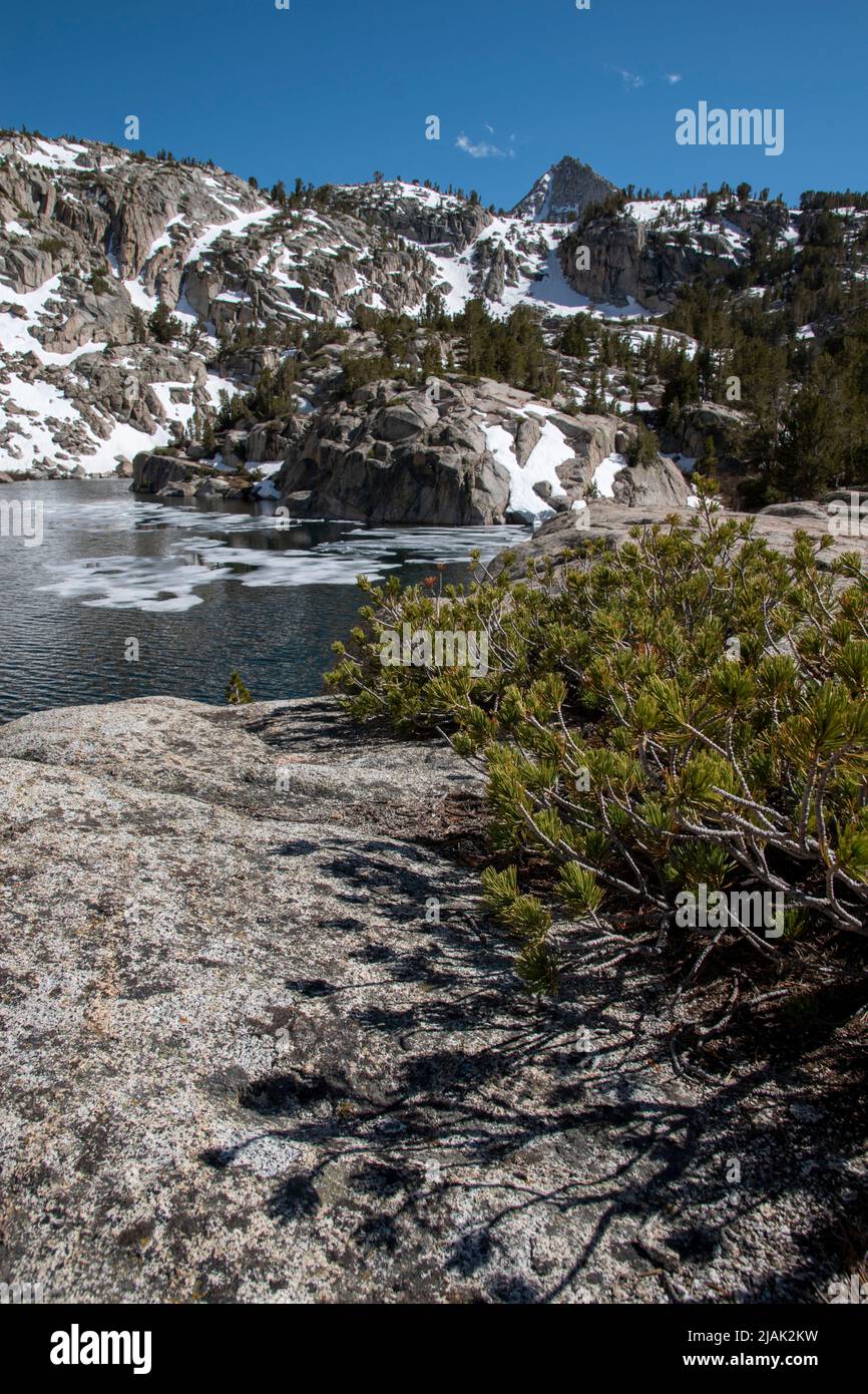 Donkey Lake is one of many alpine lakes in the Eastern Sierra of Inyo