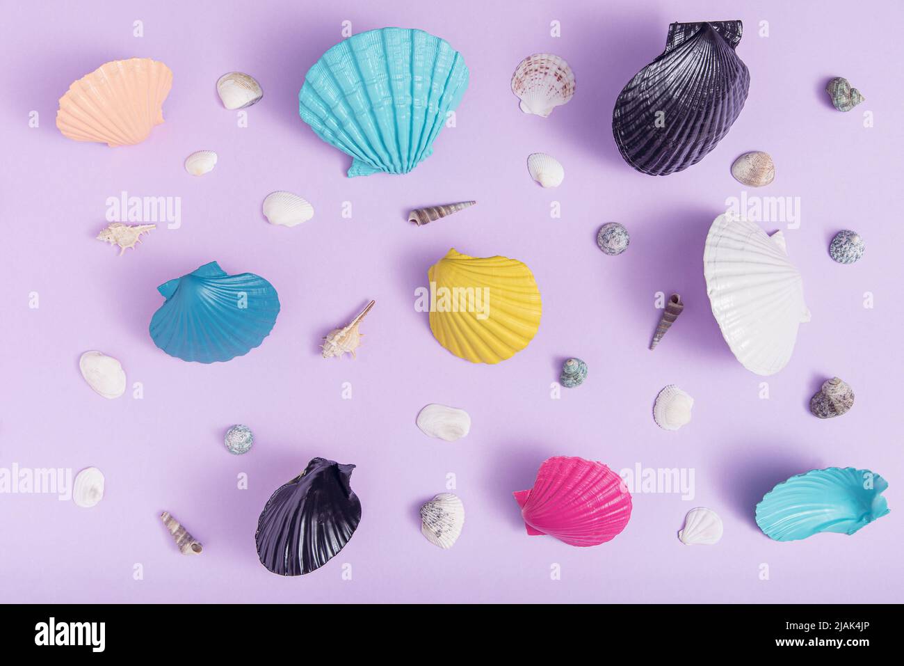 Creative summer pattern with colorful sea shells on a purple background ...
