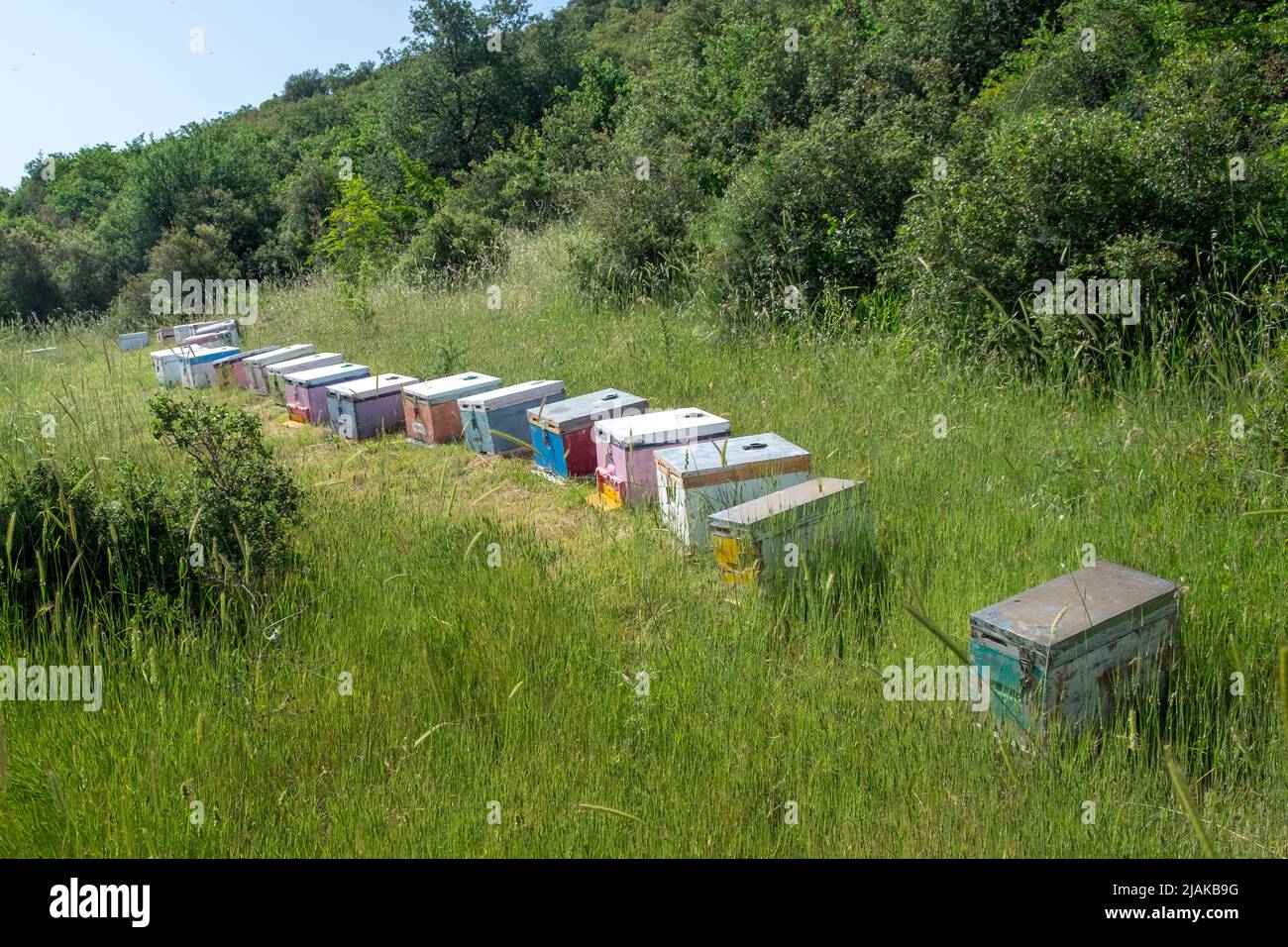 Bee hives in a field on the side of a hill Stock Photo