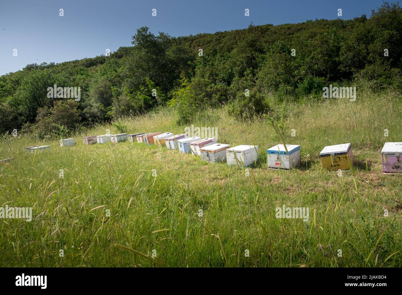 Bee hives in a field on the side of a hill Stock Photo