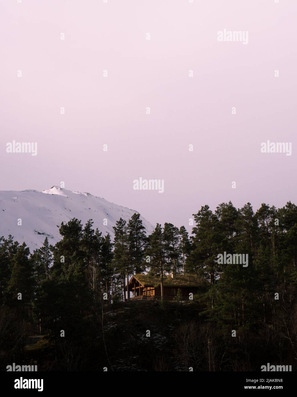Cozy cabin in the woods Stock Photo - Alamy