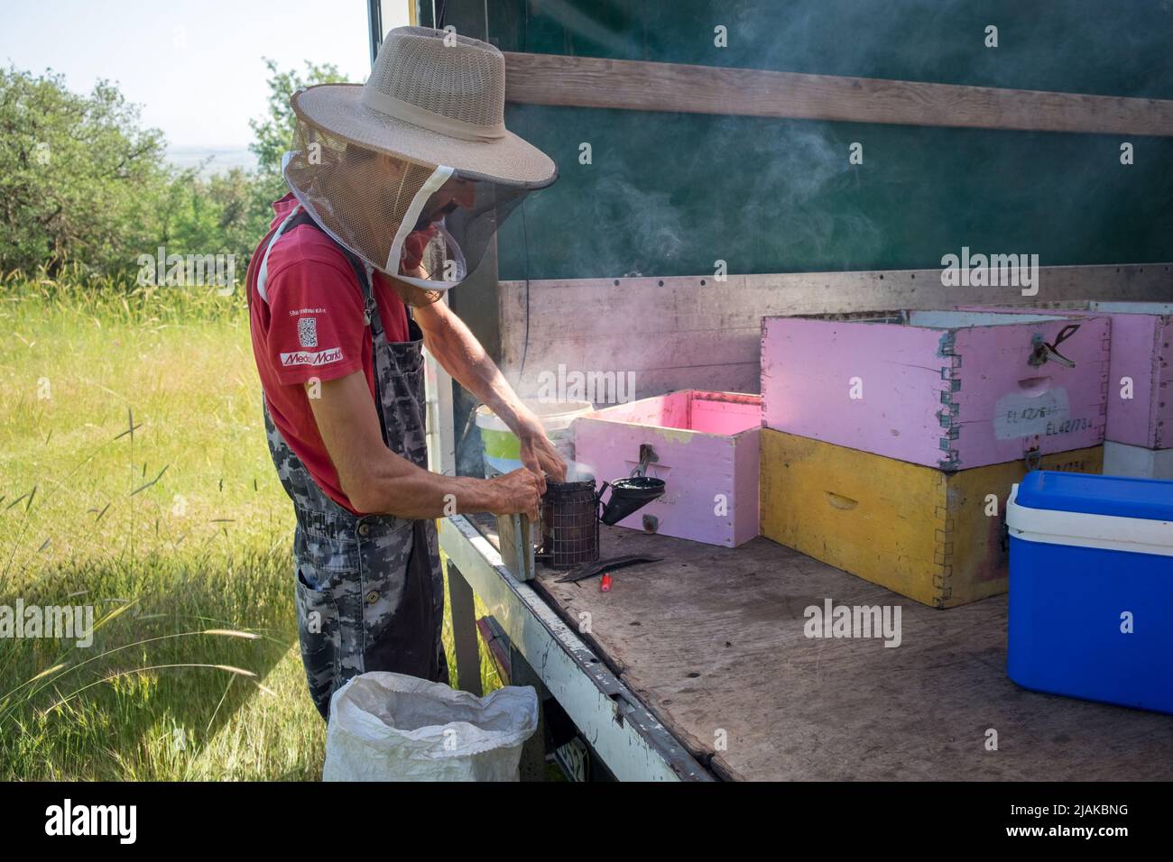 Beekeeper preparing the bee smoker for the beehives inspection Stock Photo
