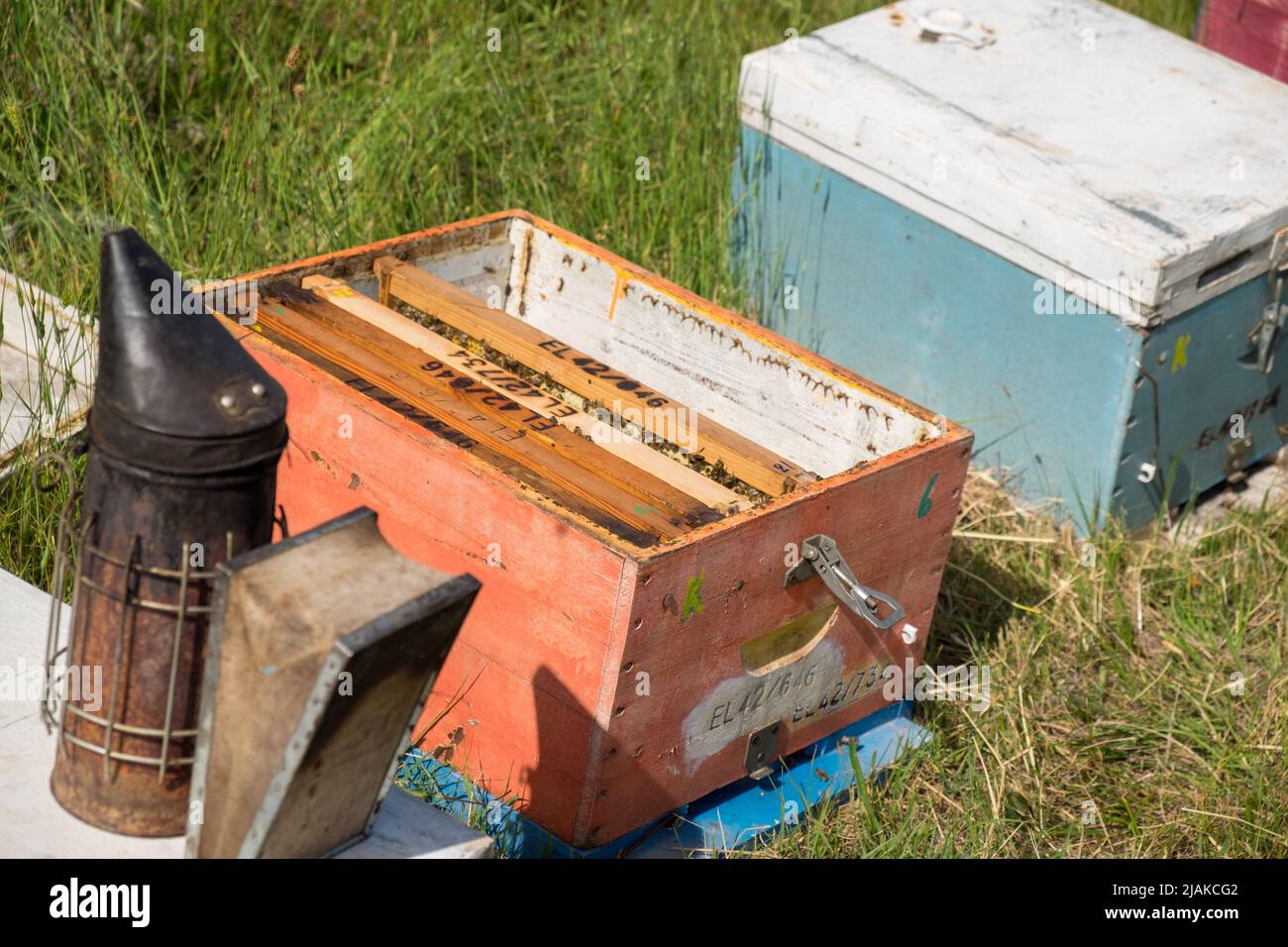 Bee smoker and an open bee hive opened for the beekeepers inspection Stock Photo