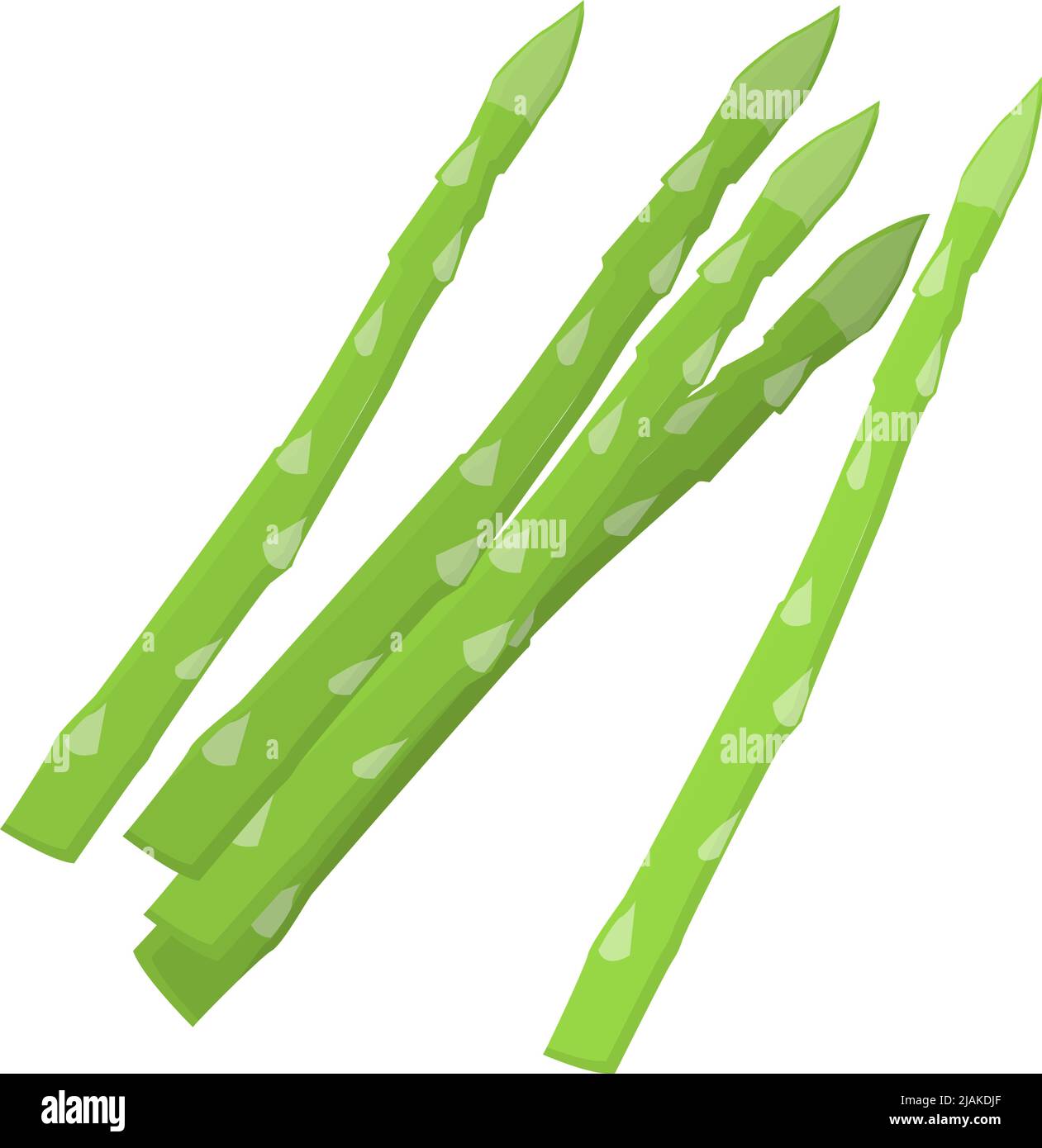 green asparagus isolated on white background, flat design vector illustration Stock Vector