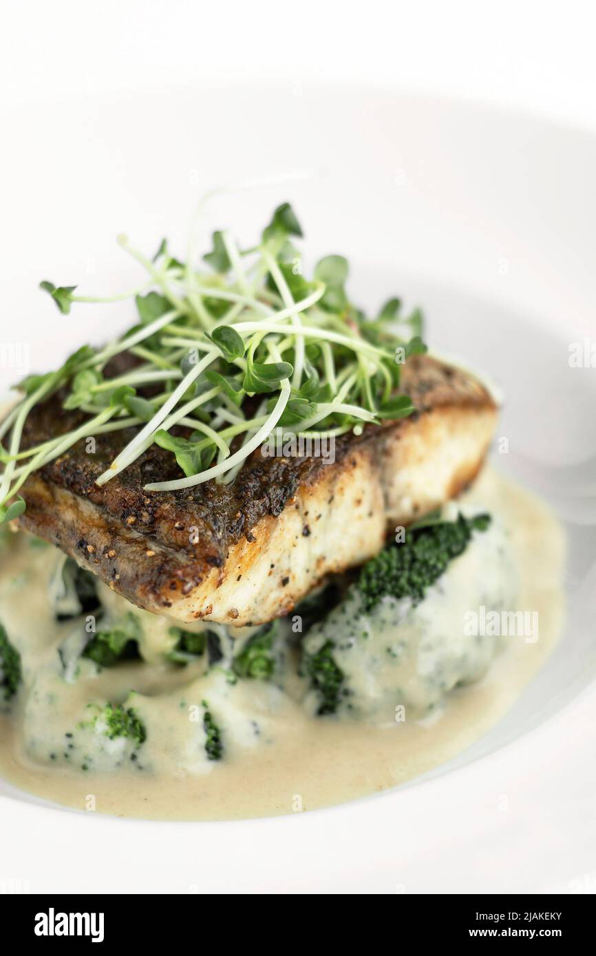 grilled seabass with mashed potato and broccoli in a creamy dijon mustard sauce Stock Photo