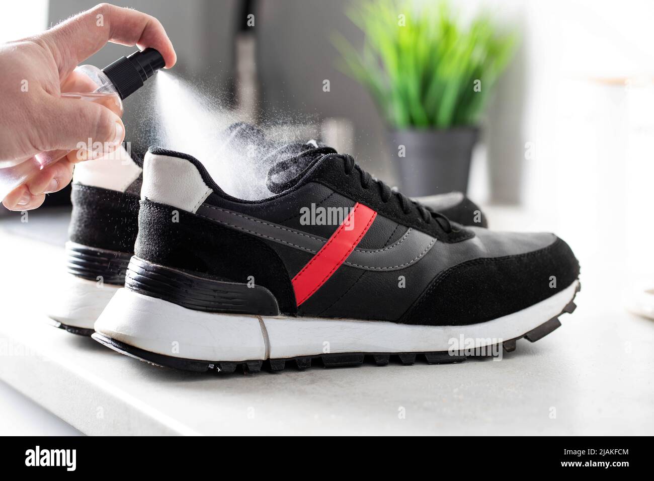 treatment of shoes with an antibacterial spray against unpleasant odors