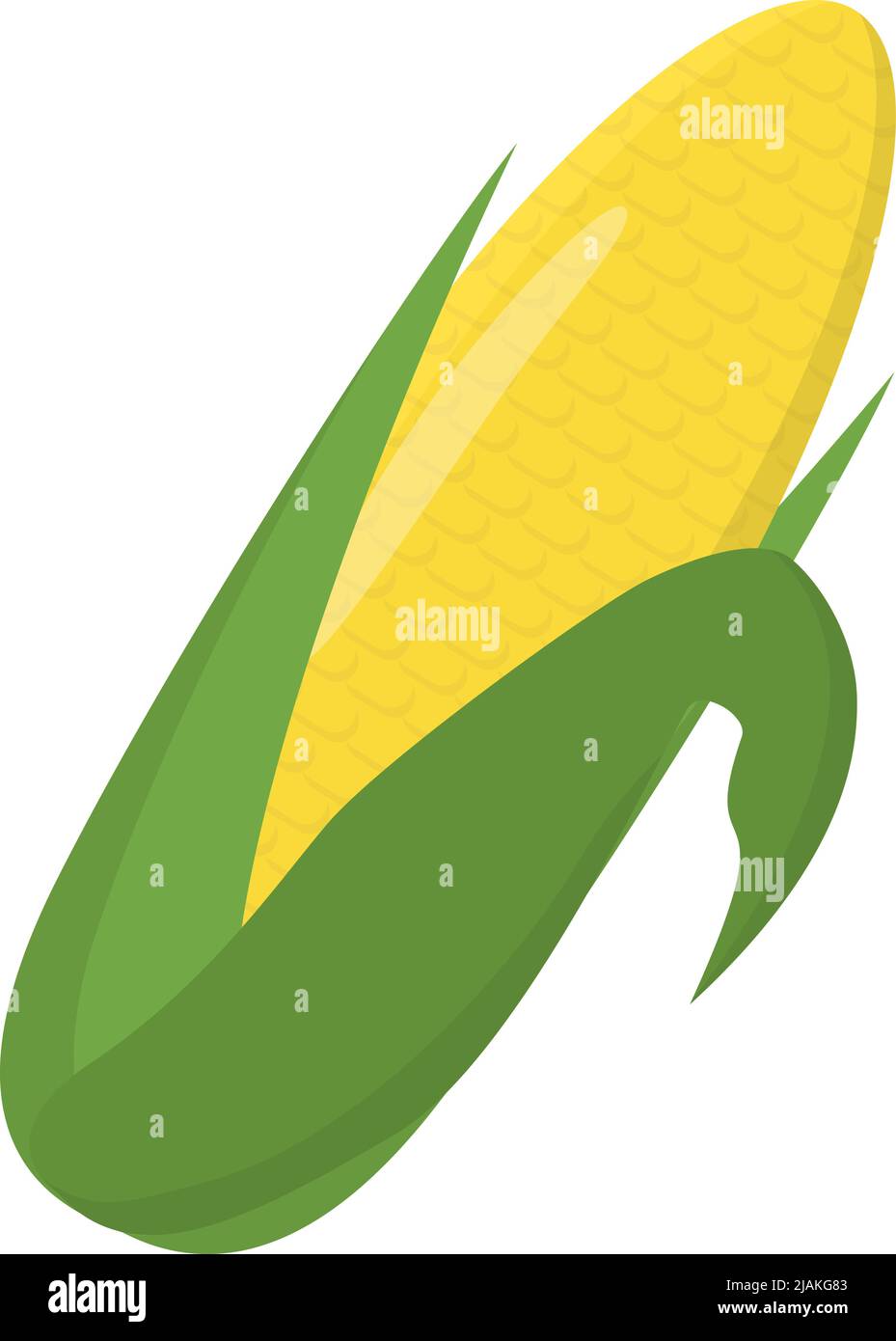 corn cob isolated on white background, flat design vector illustration Stock Vector