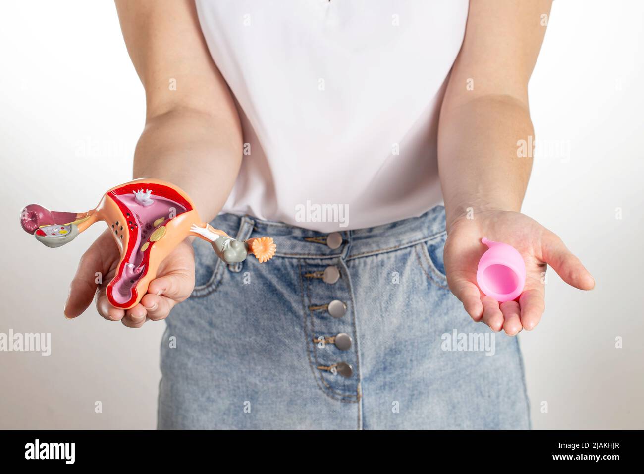 A girl holds in one hand a medical model of the female reproductive system and suddenly a menstrual cup to collect discharge during menstruation Stock Photo