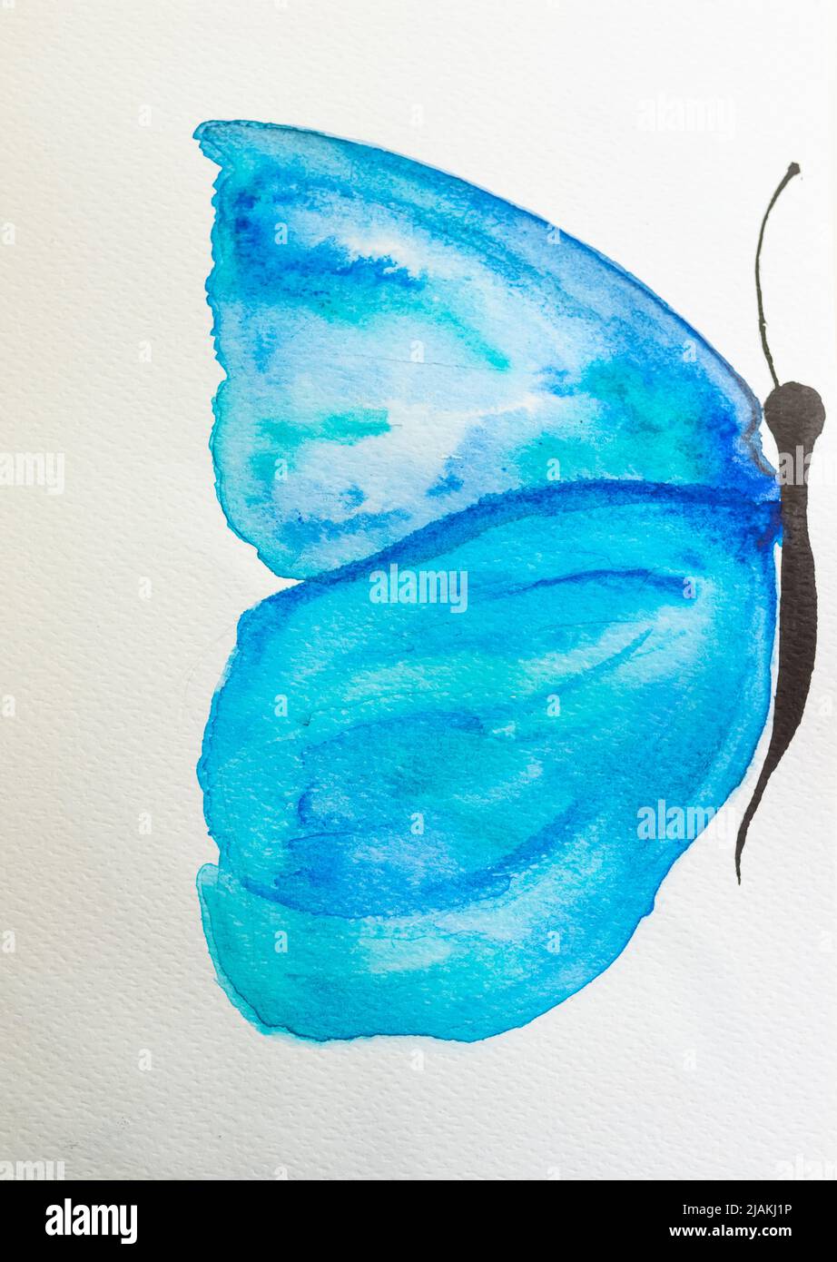 Watercolor butterfly , isolated on white Stock Photo - Alamy