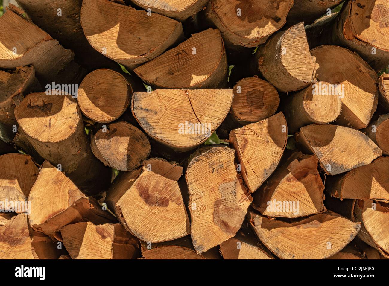 Pile of logs stacked up on each other with direct sunlight shining on them in the forest Stock Photo