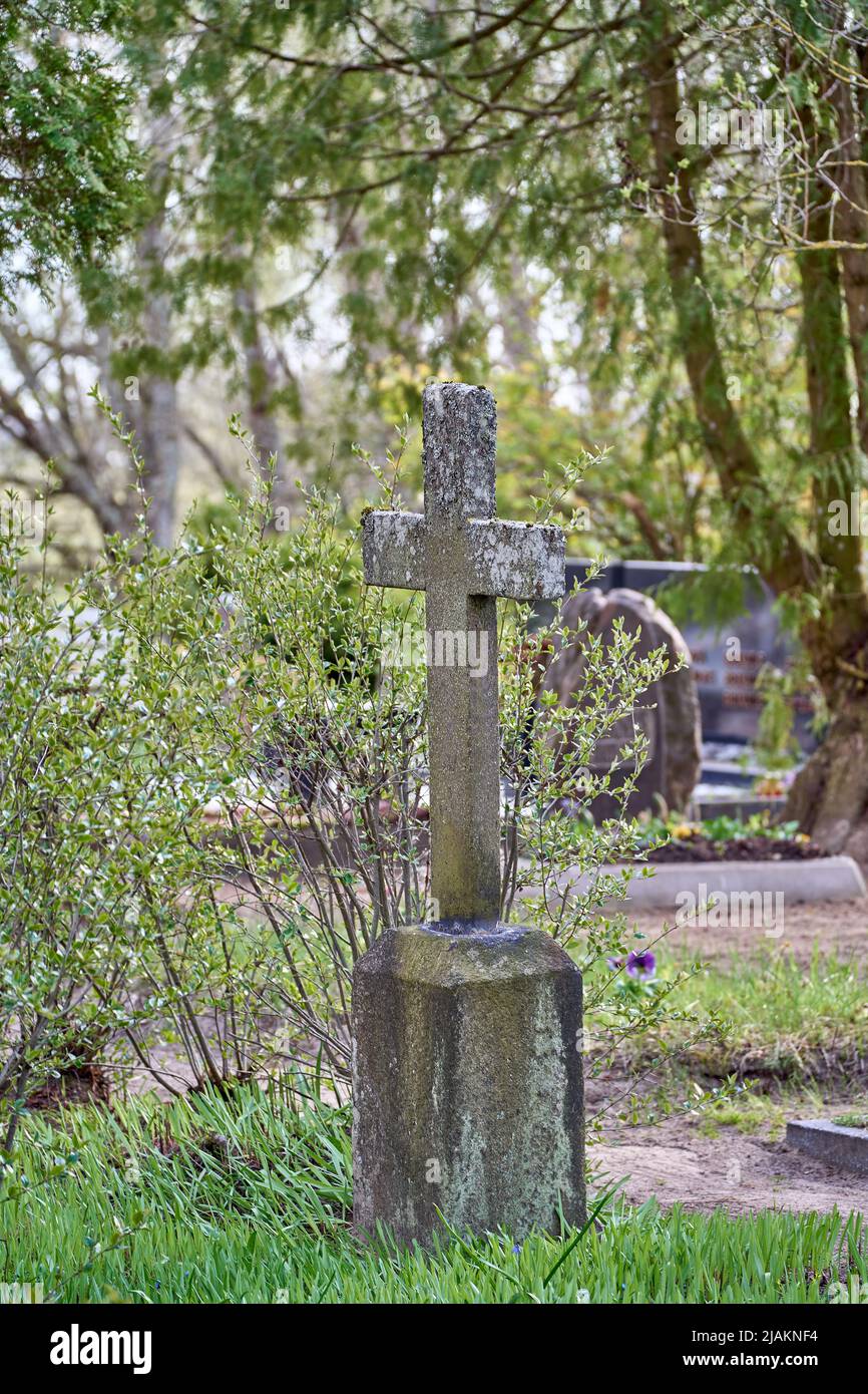 Ancient concrete cross in the cemetery covered by moss. Sunny day. Stock Photo