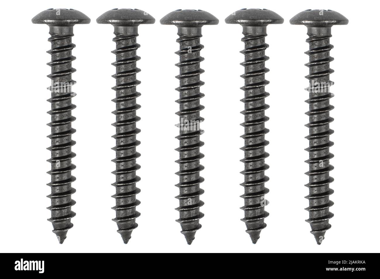 Selftapping screw isolated on white background with clipping path