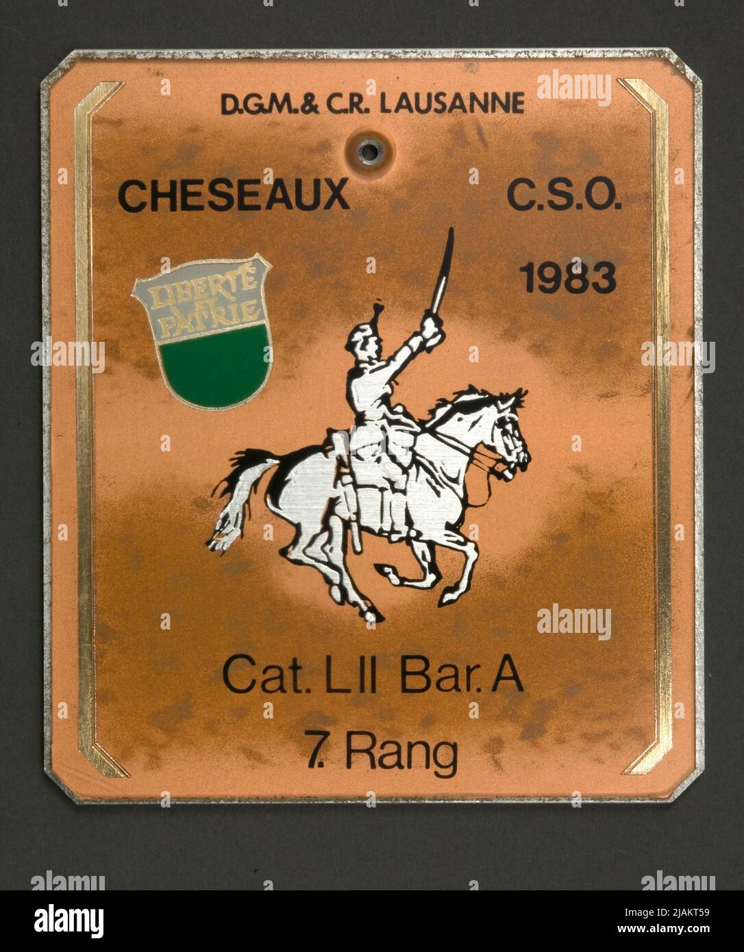 Plastic of the VAUD HIPIC HIPIC COMPETITION COMPETITION Stock Photo - Alamy